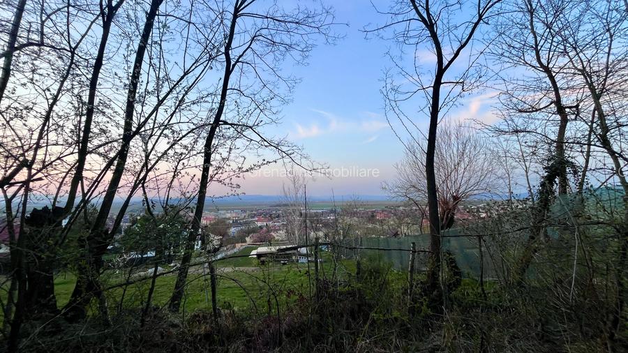 Teren Intravilan 495 mp – Zonă Liniștită - Strada Livezii - 7