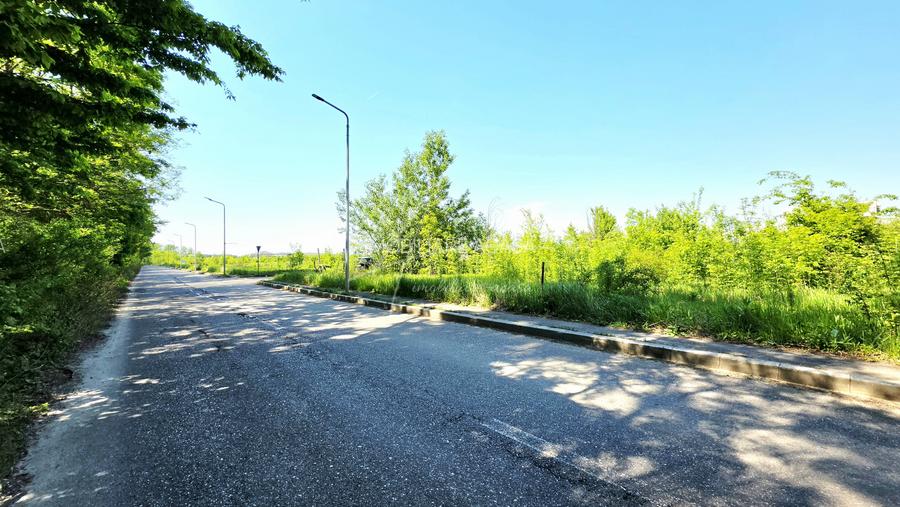 Teren intravilan, 2 fronturi, Drumul Padurea Pustnicu 65 - Greenfield - 11