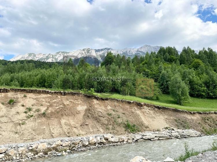 COMISION 0%! Teren superb la Plaiul Foii, pe malul Barsei - 12