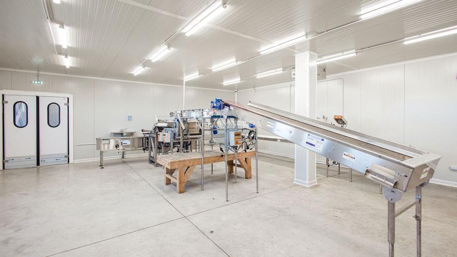 Plantatie de afine la cele mai inalte standarde, de vanzare! - 8