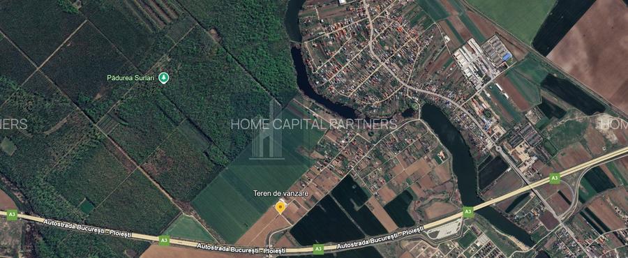 Teren de vanzare | Moara Vlasiei - 2