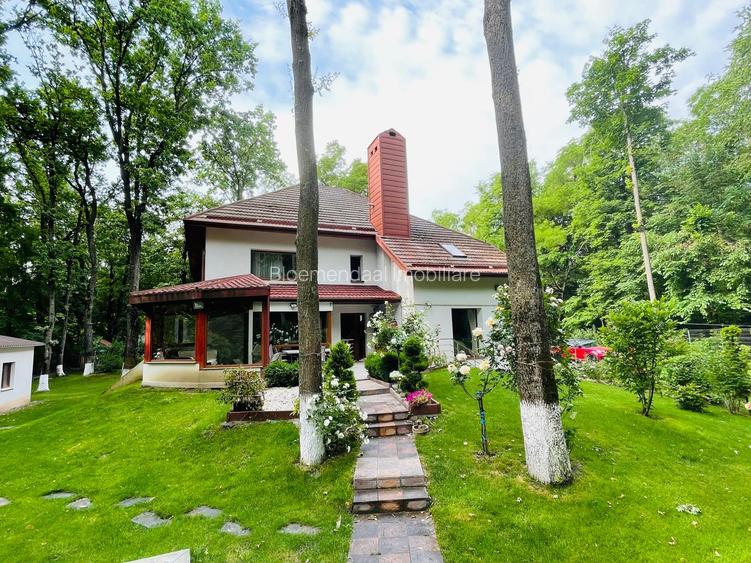 Vila  7 camere iancu nicolae gata de mutare - 19