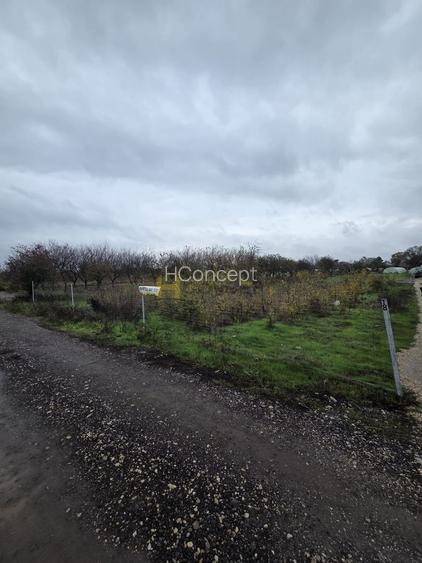 Teren Aleea Viilor Adunatii Copaceni - 3