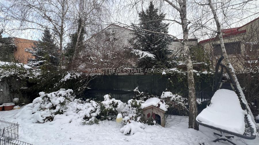 Vila Damaroaia - langa lacul Grivita - 14