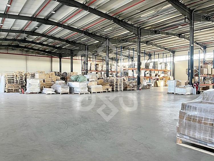 Hala noua 2402 mp in Parcul Industrial I, zona Borsului - 3