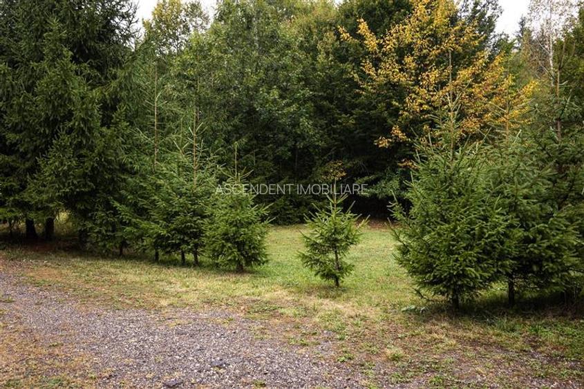 Tur 3D!Cabana de vacanta,zonare valoroasa, cu teren de 2.100 mp,Vladeni,Brasov - 11