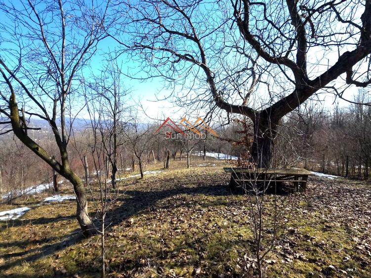 CASĂ INDIVIDUALĂ CU LIVADĂ | 2.195 MP TEREN | POIANA CÂMPINA - 36