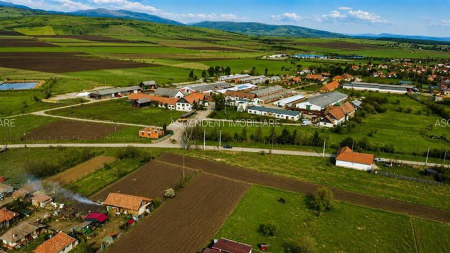 FILM! Complex agrozootehnic cu traditie, echipat + pretios potential multiplu - 7