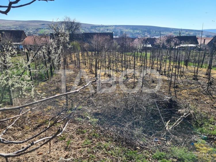 Casa de vanzare in comuna Cut Judetul Alba - 13
