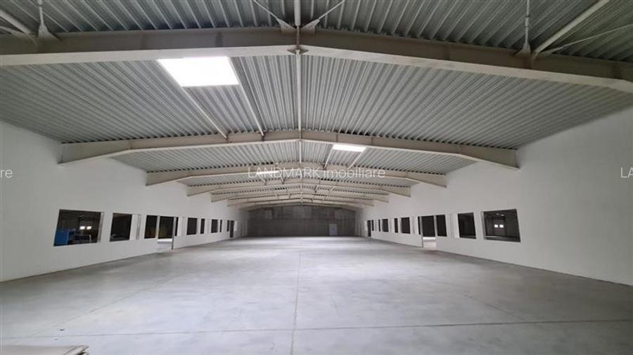 Hala productie de vanzare Timisoara - Exterior Nord - 2