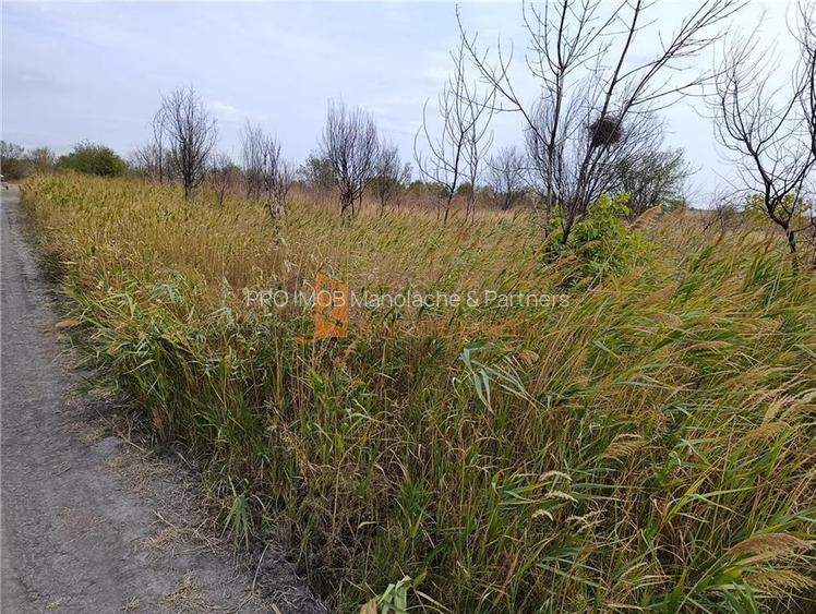 Teren extravilan in zona Spataru - 5