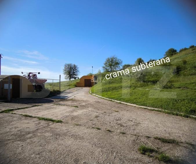 Oportunitate! Sala de evenimente, benzinarie si spalatorie auto, stradala la DE  - 9