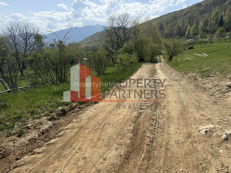 Terenuri Bran - Predelut  Priveliște către Bucegi și Postăvaru - 8