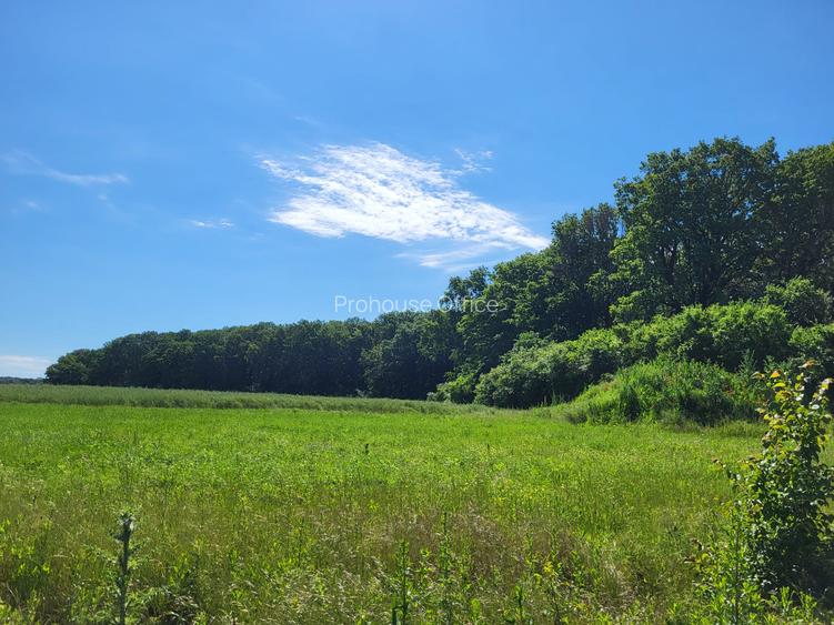 Oportunitate Unică! Teren de Vânzare aproape de Pădure – Ciolpani Izvorani - 2