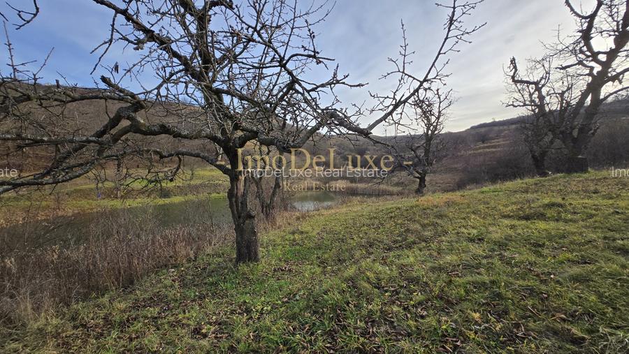 Teren extravilan langa lac, 8500mp, priveliste, acces, utilitati, zona Baciu - 4