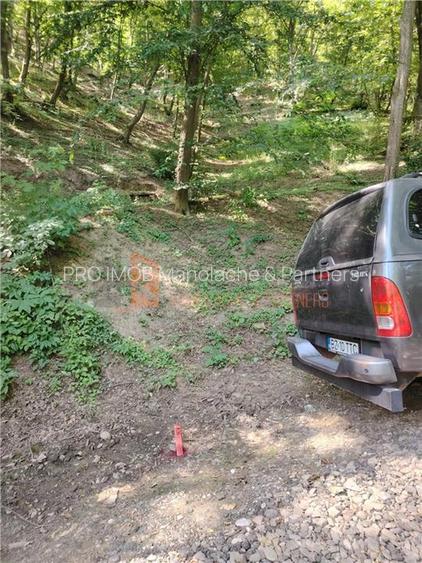 Teren intravilan zona Monteoru - 6