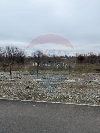 Teren 500mp Vladiceasca / None - 4