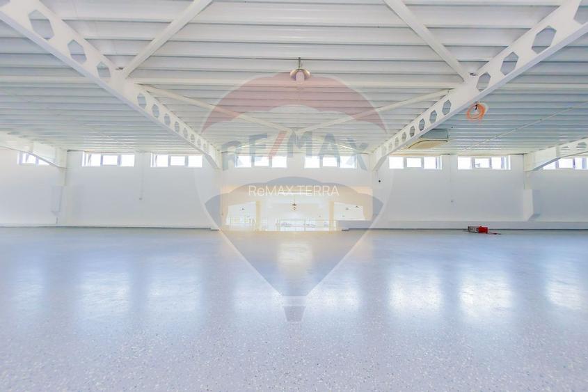 LUX! De inchiriat SPATIU COMERCIAL cu birouri, magazie și acces TIR - 7