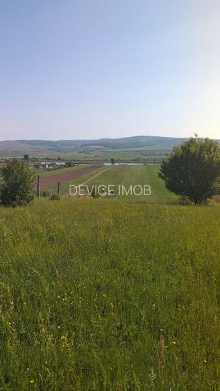 Teren Extravilan Parcelabil Front DN13 - 7