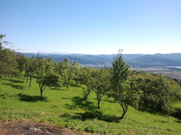 Teren livadă cu panoramă superbă Dealul Malului pentru casă sau cabană - 36