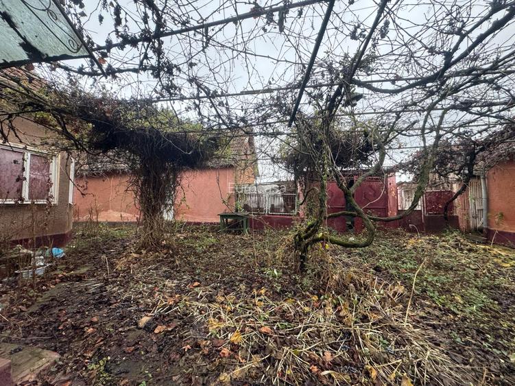 🏞️De vanzare teren intravilan, judetul Arad ! - 4