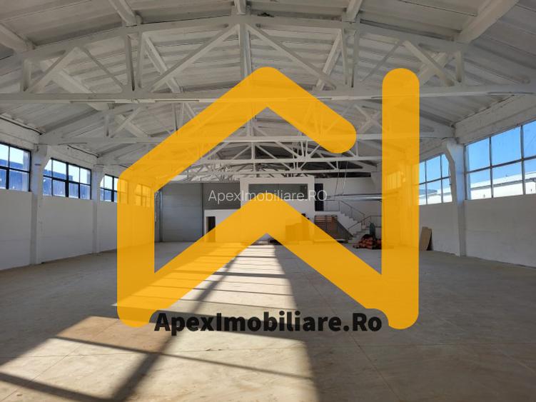 Hala Industriala Xenia – 1800 mp, Acces TIR, Parcare 50 Auto - 2