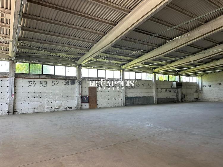 Hala Brintex str.Bazaltului / 5 euro mp - 11
