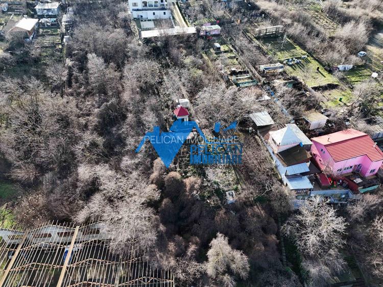 Teren intravilan BIDIDIA, zona deosebita, 550MP - 7