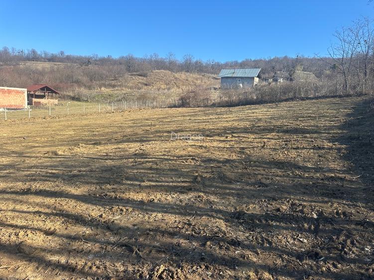 Teren interval Vladiceni  - 5