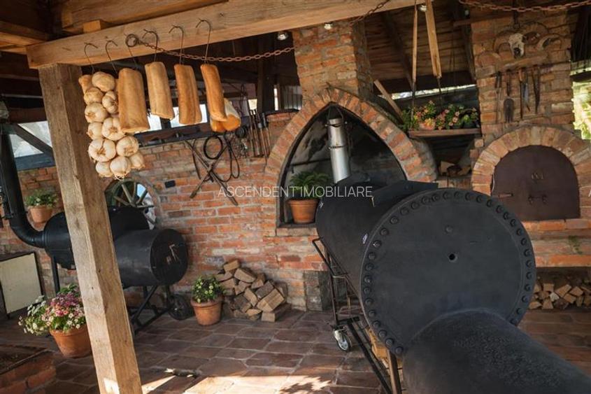 3D! Restaurant cu gradina,facilitati,de inchiriat,deschidere la DN,Halchiu,Braso - 5