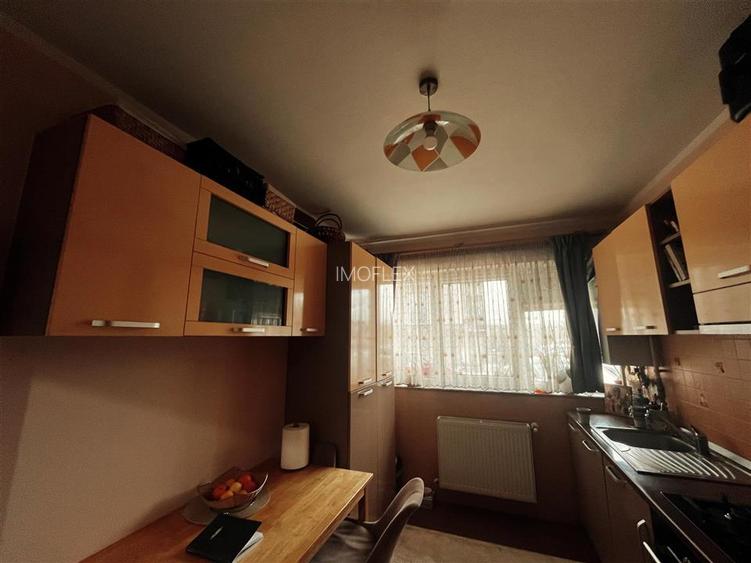 Apartament 2 camere zona George Enescu(Cartodrom) - 11