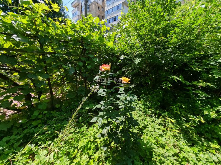 2  camere, zona Orizont - 18