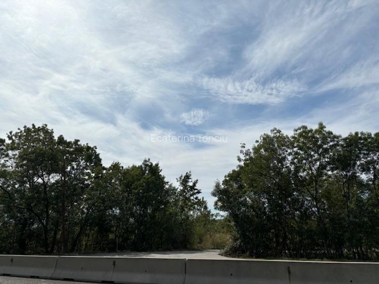 Teren de vanzare -32.130mp cu deschidere 105m la DN1, Ciolpani, cu PUZ. - 10