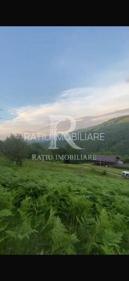 Teren 10.900mp | Panoramă în Apuseni | Remeți -Ideal pentru Investitii - 10