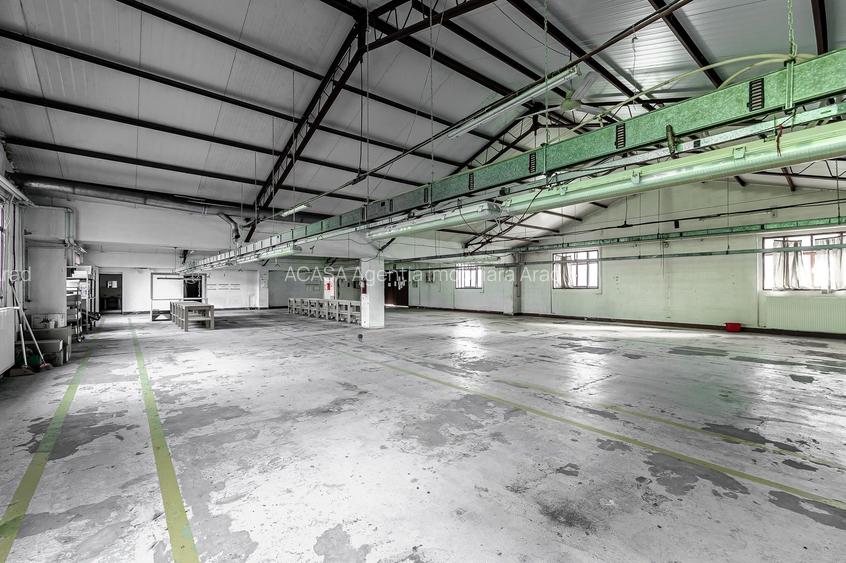 4.049 mp Hale industriale în Arad, aproape de A1 - 10