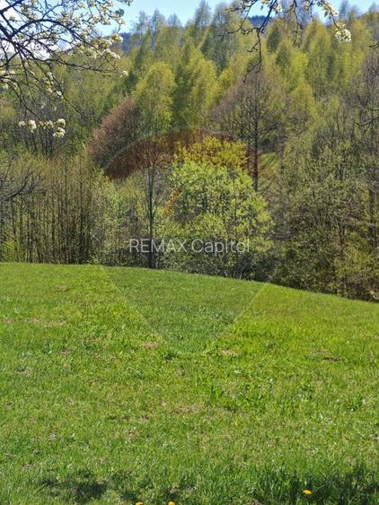 Teren 9735 mp Bran- Predelut / Strada Pe Tarina nr. 70A - 10