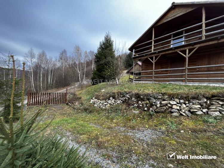 Oportunitate unica! 5ha + 2 cabane de vacanta in Valea Ierii - 9