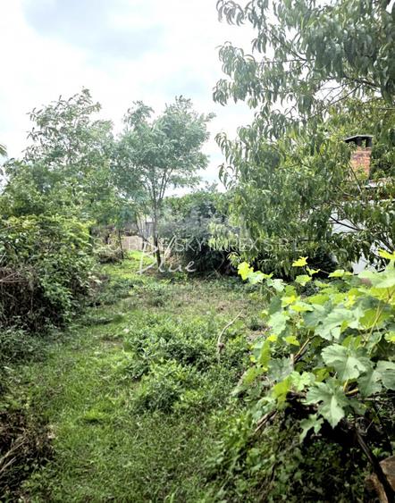 Teren cu casa demolabila sau renovabila in Valu lui Traian, pe Calea Dobrogei - 4