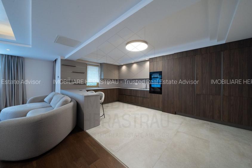 Apartament lux terasa generoasa stradal Parc Herastrau - 3