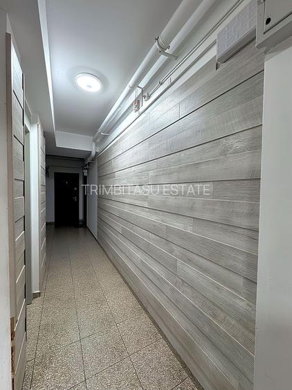 Sector 3 Pallady Parcul Teilor 2 camere 56 mp decomandat debara 3mp - 16