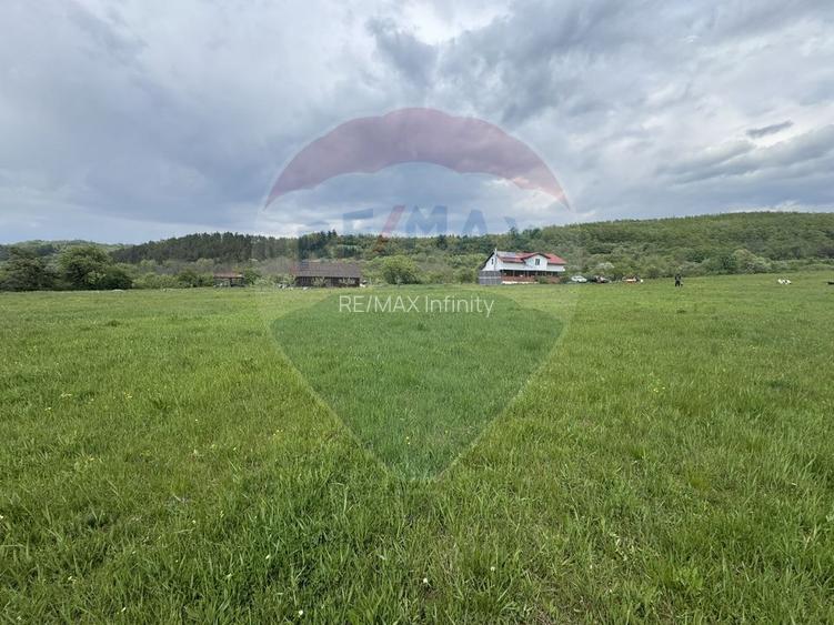 Proprietate OFF-GRID 5,76 Ha. Casa tradiționala lemn. Limită Cluj - 19