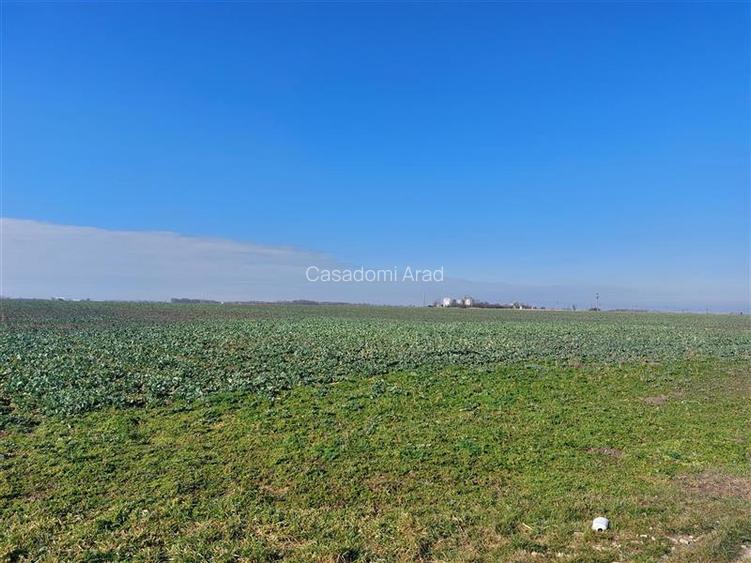 Teren arabil, zona Turnu - 4