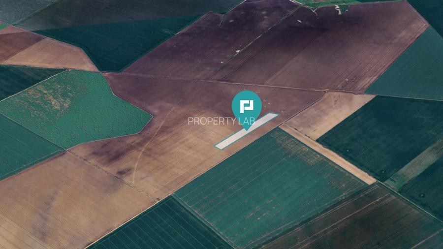 Teren 36.000 mp în Peciu Nou - 4