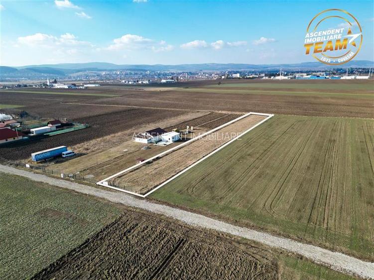 Liniste si aer curat in proximitatea Municipiului Sfantu Gheorghe - 10