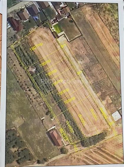 RECO Teren intravilan Biharia - 6