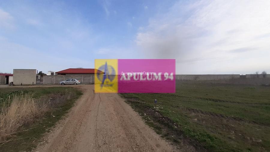 Parcelă lângă pădure în Ilfov - 6