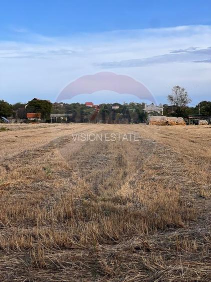 Teren intravilan de vanzare - 2