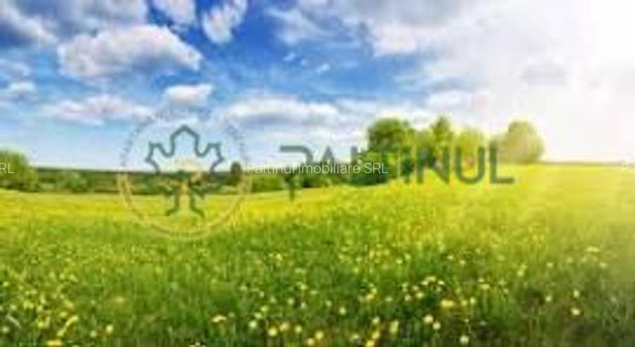 Teren de vânzare – Poplaca, Sibiu - 6