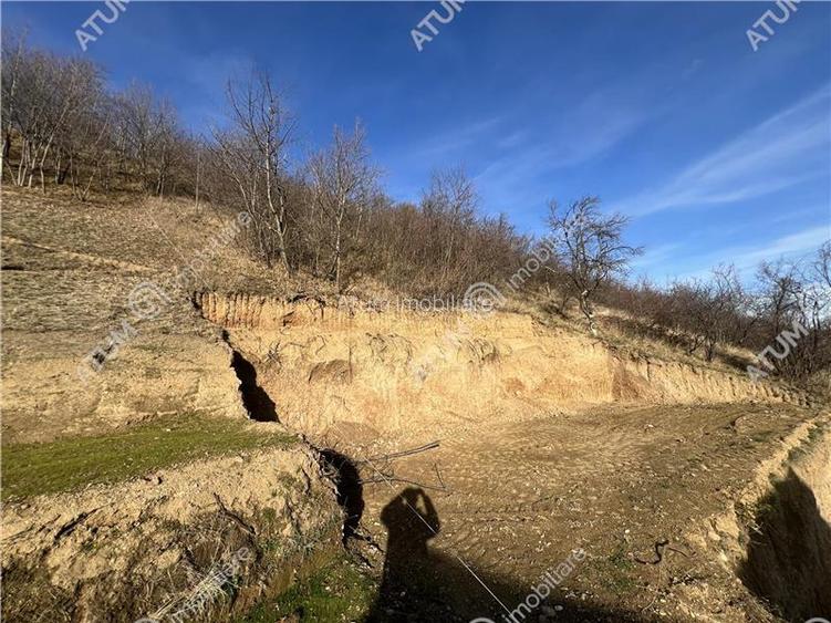 Teren intravilan de 1641 mp cu PUZ aprobat si utilitati in Cisnadioara - 4