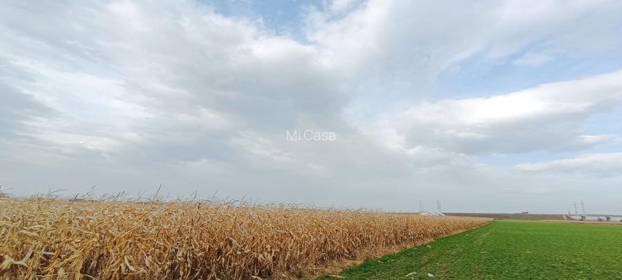 Teren intravilan industrial,str.Durau - 3